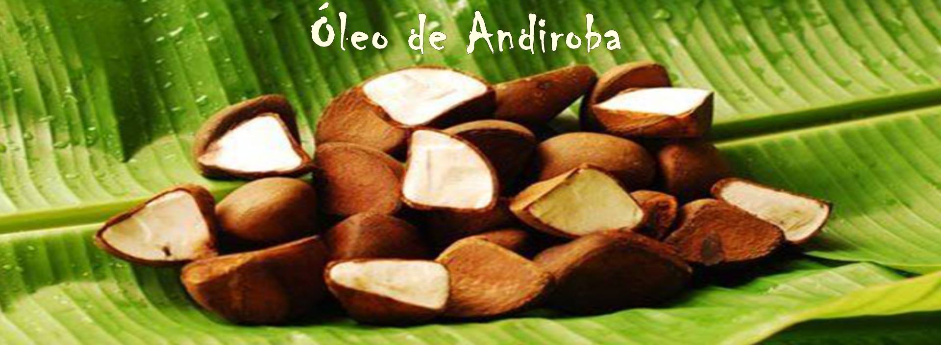 ÓLEO DE ANDIROBA 